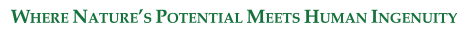 Comite Tagline